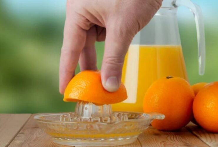 The stainless steel citrus juicer