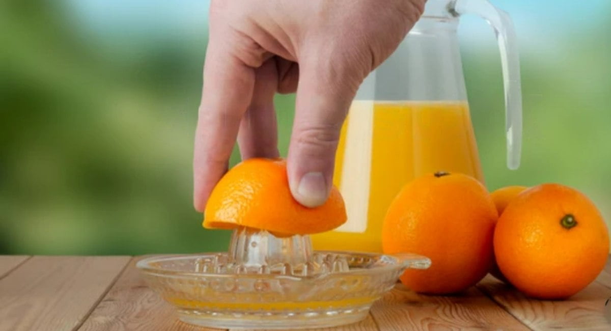 The stainless steel citrus juicer