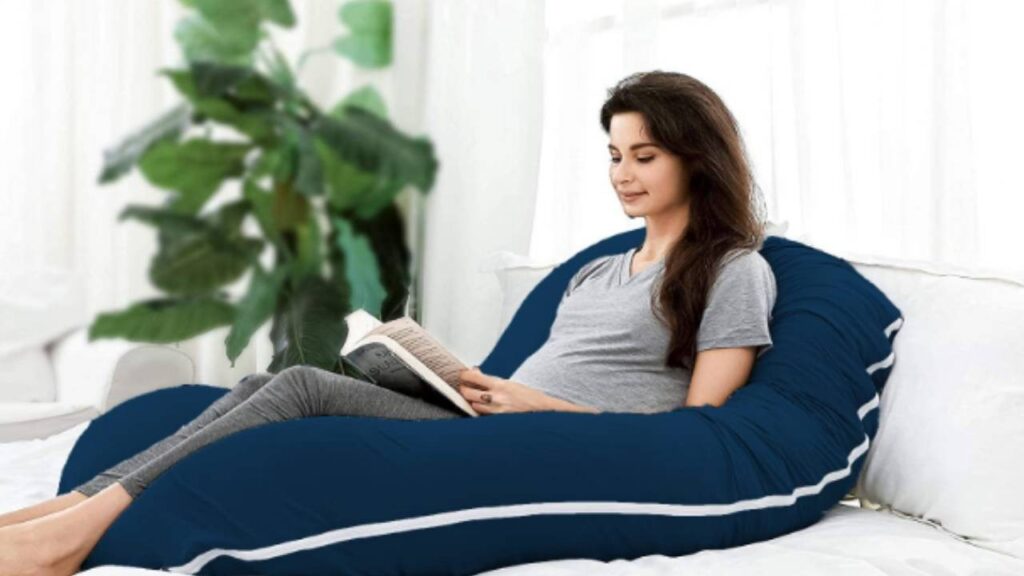 GRAY OTTER BREASTFEEDING CUSHION