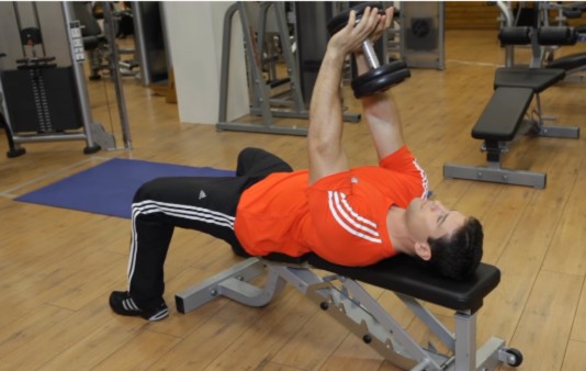 DECLINE DUMBBELL CHEST PRESS